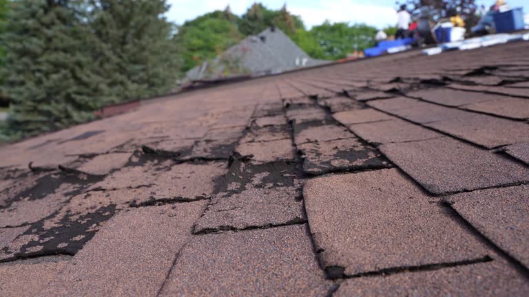 Reliable French Camp, CA Roofing Services Solutions